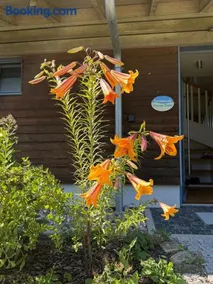 Bio-Holzferienhaus "Ostsee-Seele" - so hochwertig wie erschwinglich, nah am Meer und ruhig gelegen - Image 3