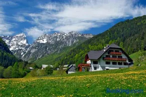 Govc-Vršnik - Image 1