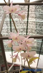 Hue Homestay Riverside - Image 4
