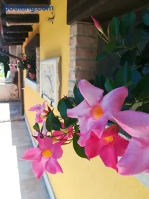 Yellow House La Brigata Apartments - Image 1