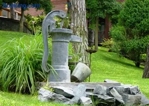 Refugio del Bosque - Image 5