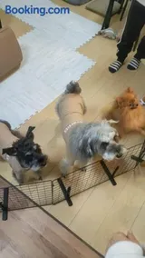犬と泊まれる宿 Clear Up Guest House ペット可 - Image 2