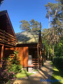 Pinia - Image 2