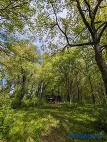 Tiny House La Clairière au milieu des bois ! - Image 2