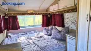 Camping Poiana Stelelor - Image 1