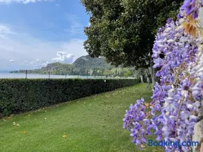 Appartamenti Villa Andrea - Image 5