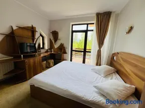 Ski Chalet Sinaia - Image 3
