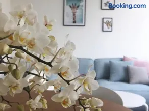 Pfötchenurlaub im Harz- Schöne Ferienwohnung für 2-4 Personen und Hund - Image 3