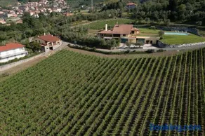 La Colombiera Wine&Relais - Image 2