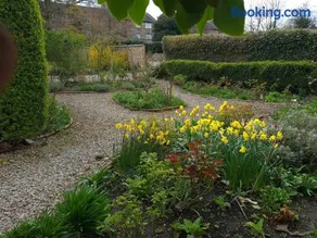 'The Potting Shed' - Image 2