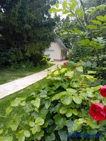 Le Murmure de la petite Oasis - Image 2