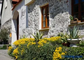 Weingut Langmayer - Image 4