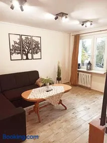APARTAMENT CENTRUM Międzychód - Image 1