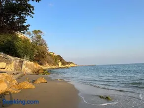 Alex Beach - Image 1