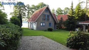 Blue Bird - Image 1
