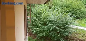 Casa vacanze in Trentino. Altopiano di Lavarone - Image 2