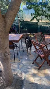 Ailemizin tatil evi - Image 1
