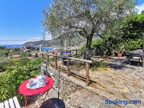 il Frantoio del Mesco - Levanto - Image 2