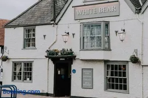 The White Bear - Image 1