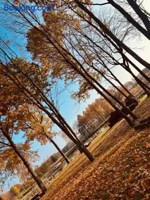 Agro Zahary - Image 2