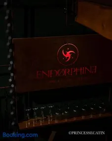 Endorphine love room - Image 4