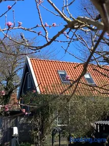 het zwaluwnest - Image 2