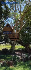 Casa na arvore Dream tree house - Image 3