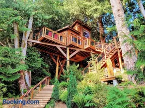 Owl's Perch Treehouse - Image 1