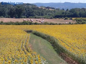 La Libellula - Image 2