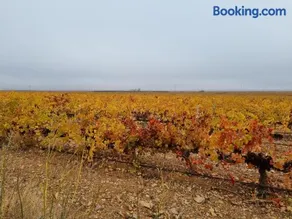 ENTRELASVIÑAS - Image 4