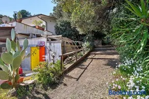 Sciabattica - Lacona - Image 3