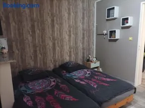 Le cocon de Sausheim - Image 3