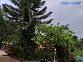 Silver Spruce 2BHK Entire Floor Kotagiri - Image 2