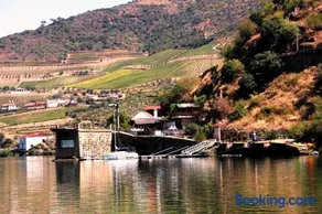 Douro Yacht Charter & Bungalows - Image 5