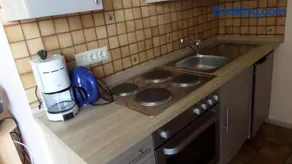 Eule - Image 3
