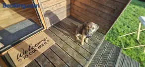 Camping Pod on Quiet Adults Only, Dog Friendly Campsite - Image 4