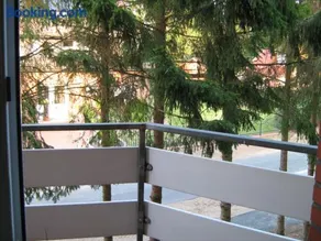 Ferienwohnung Alte Kämpe - Image 2