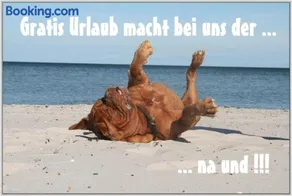 Bungalow WALD & SAND direkt am Strand - Image 1