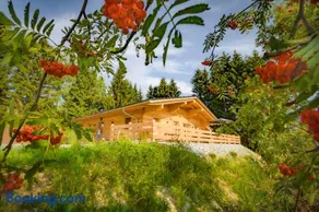 Das Wistlberg Wohlfühlchalet - Image 1