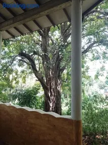 Kon Tree Shade - Image 1