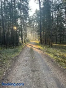 Waldzauber-one - Image 3