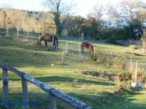 Casa Gruppetta - Image 2