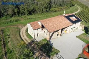 Palladio Vineyard - Image 1