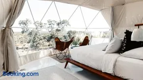 The Disco Domes - Image 4