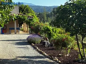 Gite Dans Une Maison En Rez De Chaussée Avec Piscine - Image 3