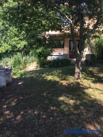 vigne maio - Image 4