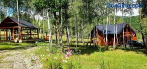 Cabana cu Mesteceni - Image 1