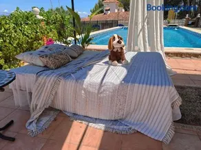 Buenas vistas y privacidad, tranquila y fresca villa en el bosque de Valencia con una magnífica piscina de 80m2 - Image 4
