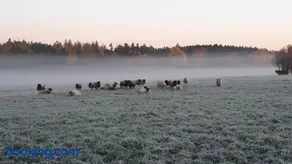 Kullens Bed and Breakfast - Image 4