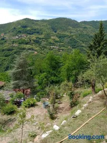 La roccia - Image 2
